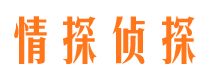 朝天市私家侦探公司